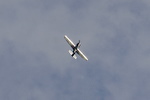 P8020342.JPG