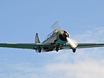 P8020398.JPG
