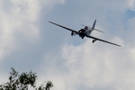 P8020410.JPG