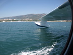 P9026964.JPG