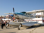 P9047434.JPG