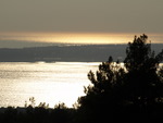 P9059226.JPG