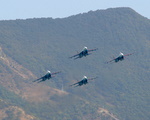 P9079454.JPG