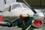 IMG_7949.JPG