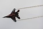 P1010017.JPG