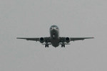 LYS_4310.jpg